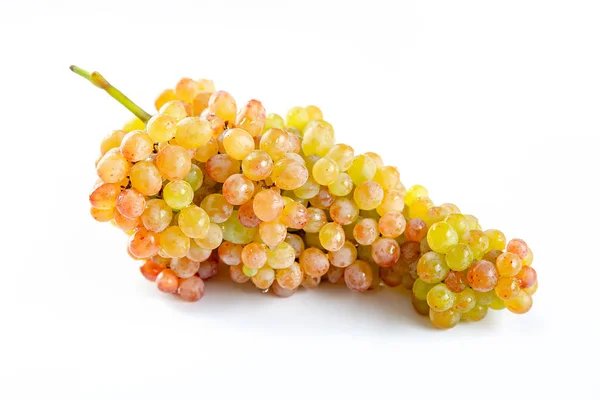Pęczek winogron na białym tle — Zdjęcie stockowe