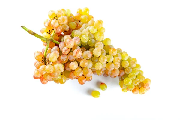 Beyaz arka planda üzüm demeti