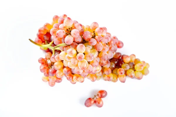 Bunch of grape on a white background — Stock Photo, Image