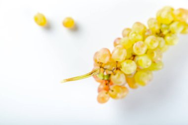 Beyaz arka planda üzüm demeti