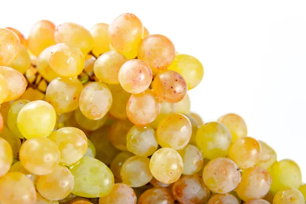 Beyaz arka planda üzüm demeti