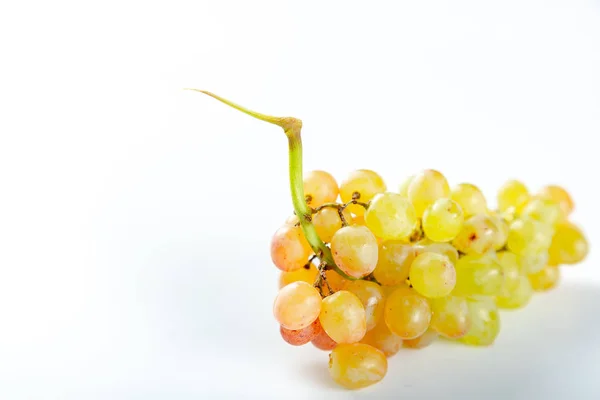 Beyaz arka planda üzüm demeti