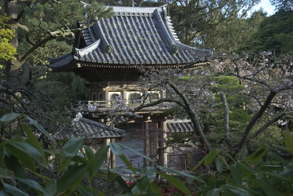 Japanese Tea Garden in San Francisco, California  Golden Gate Park