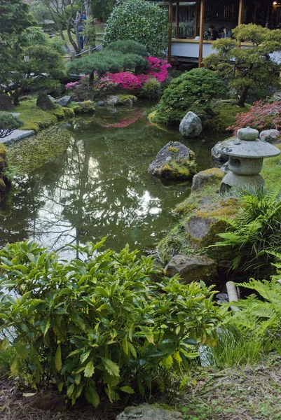 Japanese Tea Garden in San Francisco, California Golden Gate Park