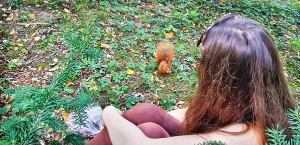 Rothaarige Mädchen Mit Einem Eichhörnchen — Stockfoto