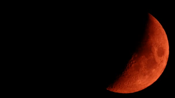 Gros Plan Une Lune Rare Grande Rouge — Video