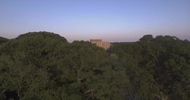 Grande Edifício Abandonado Revelado Atrás Grandes Árvores Aéreo — Vídeo de Stock