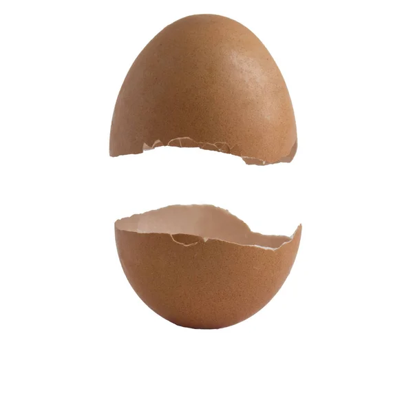 Beyaz arka plan üzerinde yumurta kabuğu