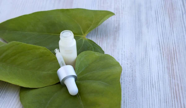 Doğal kozmetik ve açık renkli yapraklarda