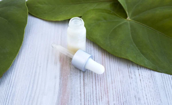 Beyaz kozmetik ürünler ve beyaz zemin üzerine yeşil yaprakları. Mock-up kavramı için doğal güzellik ürünleri.