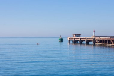 Sakin bir denizde kanoist yelken