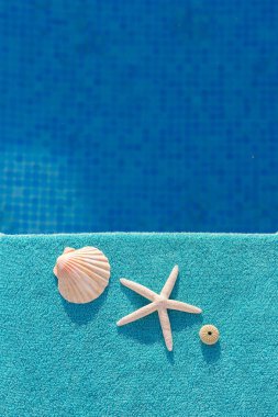 Yüzme havuzunun kenarında beyaz denizyıldızı, deniz uçurumun ve Denizkabuğu