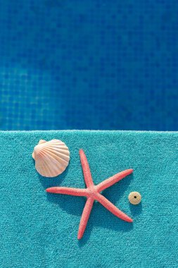 Yüzme havuzunun kenarında kırmızı yıldız balığı, deniz uçurumun ve Denizkabuğu