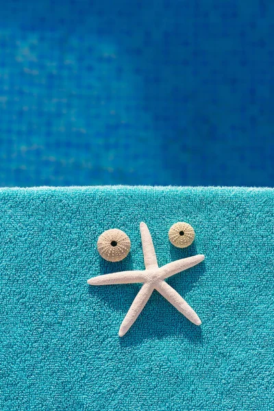 Yüzme havuzunun kenarında beyaz yıldız balığı ve deniz ürçleri