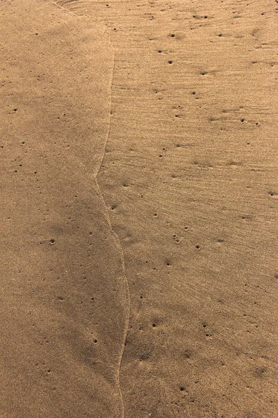 Points and lines drawn by the action of water on sand