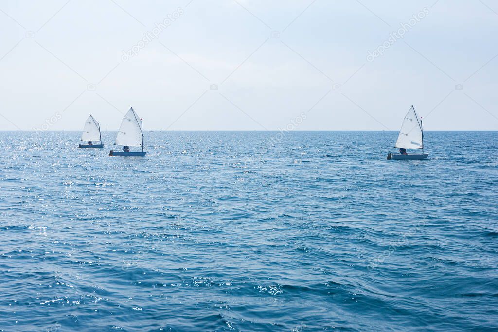 Three sailing boats, model Optimist, are sailing on a sunny day.