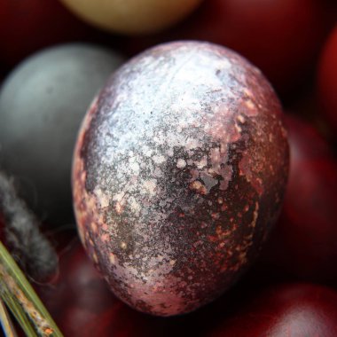 Paskalya için parlak bir boyalı yumurta Close-up 