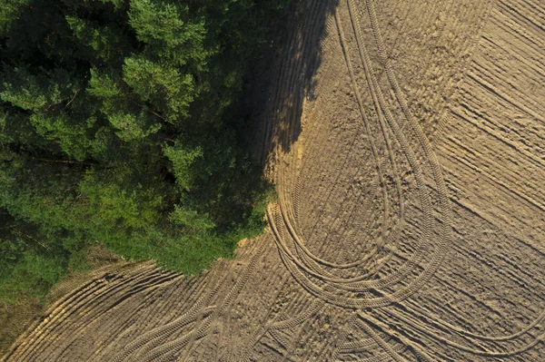 Drone Una Foresta Verde Con Ombra Che Cade Campo — Foto Stock