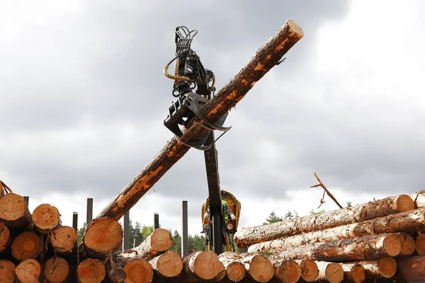 Log Truck Unloads Logs Sawmill — Stock Photo, Image