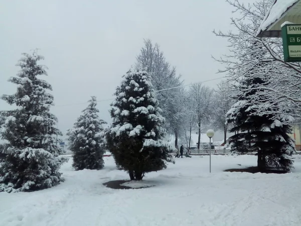 Winter Blizzard City Cloudy Day — Stock Photo, Image