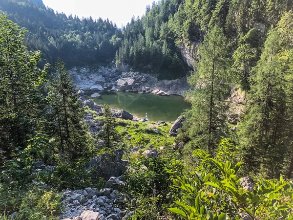 Siyah lake bir Triglav Vadisi Milli Parkı Slovenya Yedi Göller.