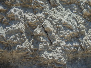 Örümcekler yuva kayalarda küçük boşluk inşa.