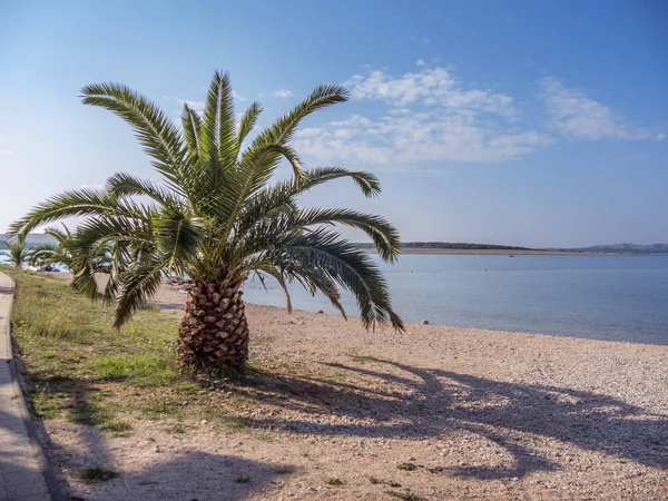 Grüne Palmen Schönen Sandstrand Bei Sonnenuntergang — Stockfoto