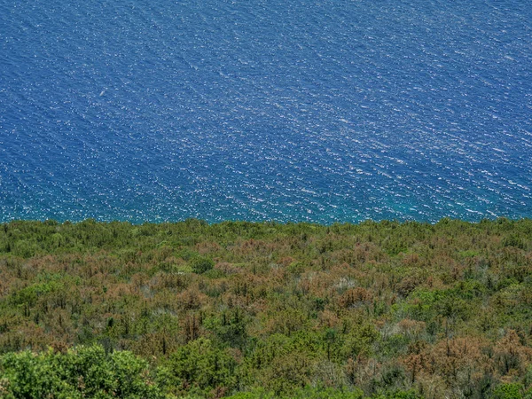 克罗地亚海岸线之间的蓝色海洋和绿色岛屿植被之间的边界 — 图库照片