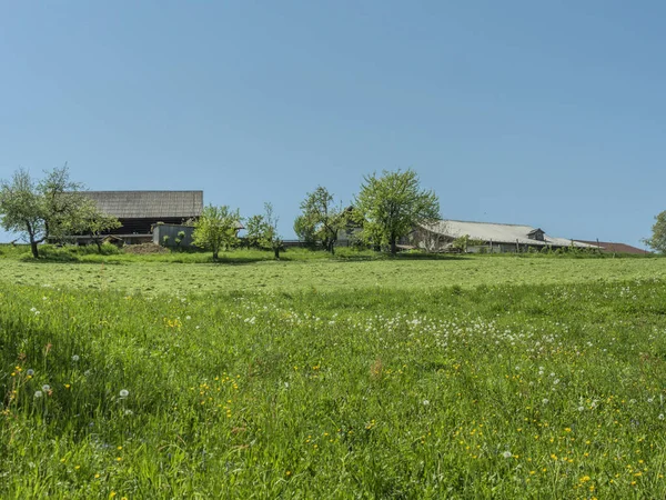 Yeşil çayırlar arasında kaç ev geleneksel Sloven grupla.