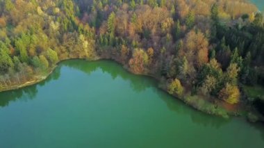 Hava: woods ile güzel yeşil gölet üzerinde tüm civarı göl uçan. Güneşli sonbahar akşam açık havada.