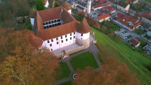 Aérea Volando Alrededor Del Castillo Ciudad Sevnica Junto Río Sava — Vídeo de stock