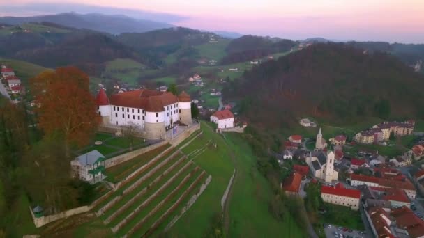 航空写真 スロベニアのサヴァ川の横にある Sevnica 都市の横に飛んでいます 城の美しい小都市はファーストレディ メラニア トランプの出生地です — ストック動画