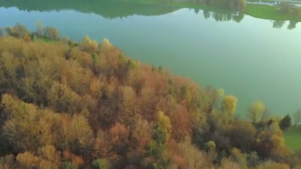 Luchtfoto Vliegen Mooie Groene Vijver Met Bos Alle Rond Het — Stockvideo