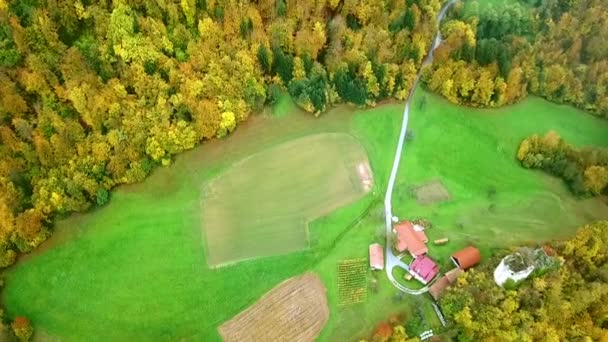 Antenne Hinunter Einem Kleinen Bauernhof Neben Alten Burgruinen Wald Fliegen — Stockvideo
