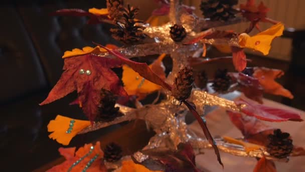 Closeup Home Made Decoration Tree Pine Cones Color Leaves Festive — Stock Video