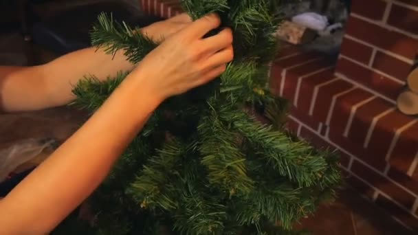 Vrouwelijke Handen Voorbereiden Kunstmatige Plastic Kerstboom Voor Het Versieren Feestelijke — Stockvideo