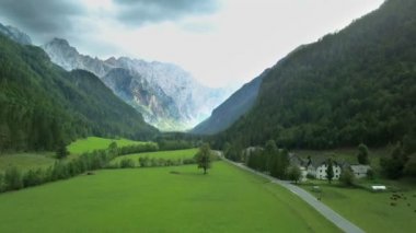 Hava: Slovenya güzel yeşil Logarska Vadisi'nde önünde uçan. Slovenya Logarska dolina Vadisi'nde gezisinde filme.