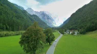 Hava: Slovenya güzel yeşil Logarska Vadisi'nde önünde uçan. Slovenya Logarska dolina Vadisi'nde gezisinde filme.