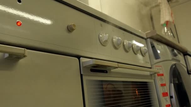 烹饪时从电烤箱冒出的烟雾 慢动作蒸汽从烤箱中吹出来 — 图库视频影像