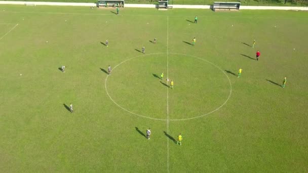 Antenne Kinder Starten Mit Fußballspiel Auf Grünem Rasen — Stockvideo