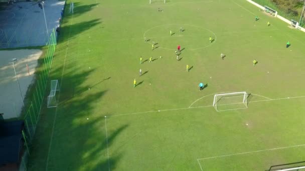 Antenne Kinder Spielen Fußballspiel Auf Großem Grünen Rasen Fußballplatz — Stockvideo