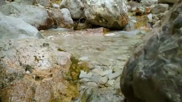 Kristallklart Bergsvatten Flödar Mellan Stenarna Långsam Rörelse — Stockvideo