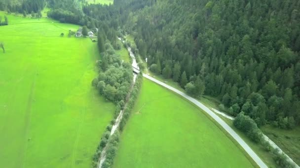 Aéreo Voando Sobre Belo Vale Logarska Verde Eslovénia Filmado Viagem — Vídeo de Stock