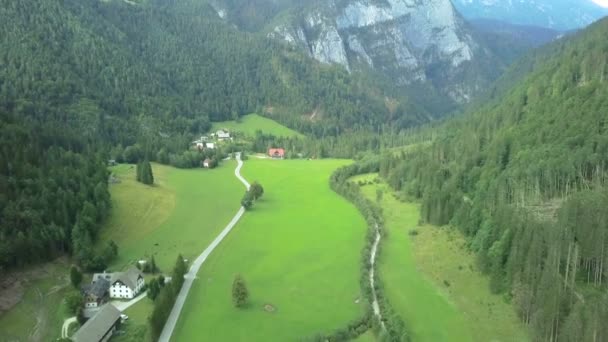 Anténa Létání Vysoko Krásném Zeleném Údolí Logarska Slovinsku Natočeno Výletě — Stock video