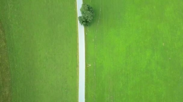 緑の牧草地といくつかの木との間の小さな国の道路上航空 飛行スロベニアの Logarska ドリーナ渓谷の旅で撮影 — ストック動画