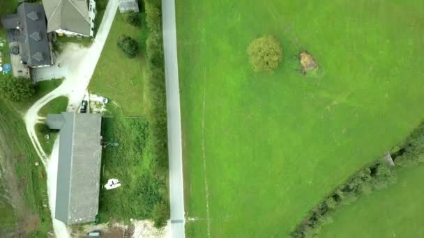 Aérea Volando Sobre Pequeño Camino Rural Entre Prados Verdes Pocas — Vídeos de Stock