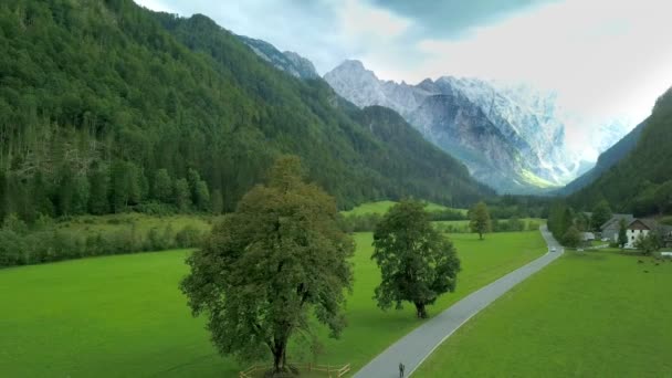 Aérea Volando Frente Hermoso Valle Verde Logarska Eslovenia Filmado Viaje — Vídeos de Stock