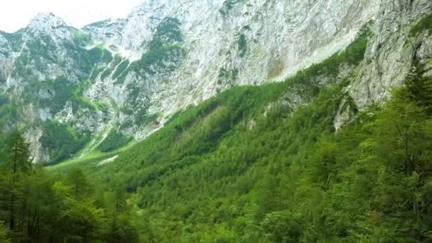 Aéreo Voando Através Paisagem Verde Vale Alpino Cercado Por Montanhas — Vídeo de Stock