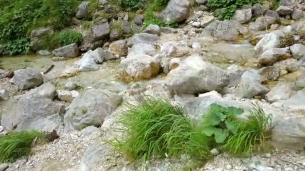 Kristallklart Bergsvatten Flödar Mellan Stenarna Långsam Rörelse — Stockvideo