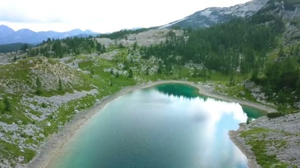 Anténa Národní Park Slovinsku Sedm Jezer Údolí Létání Ledvica Jezero — Stock video